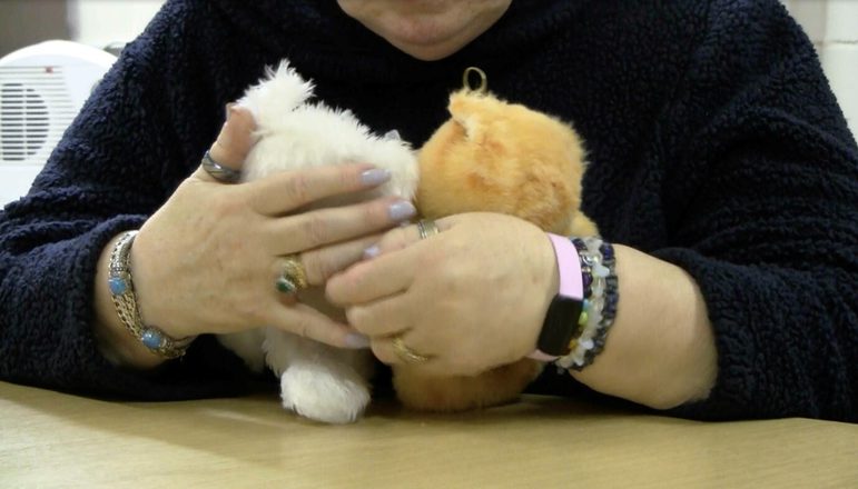 Two arms holding stuffed animals