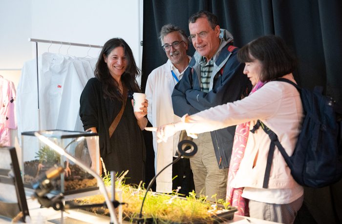 Group of people looking at a terrarium