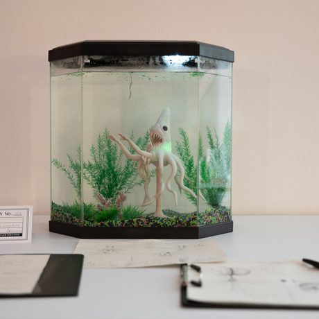 Specimen in an aquarium